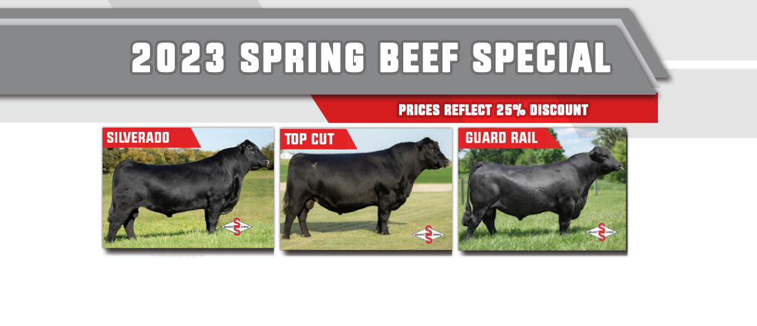 CLICK FOR A FULL SIRE LISTING